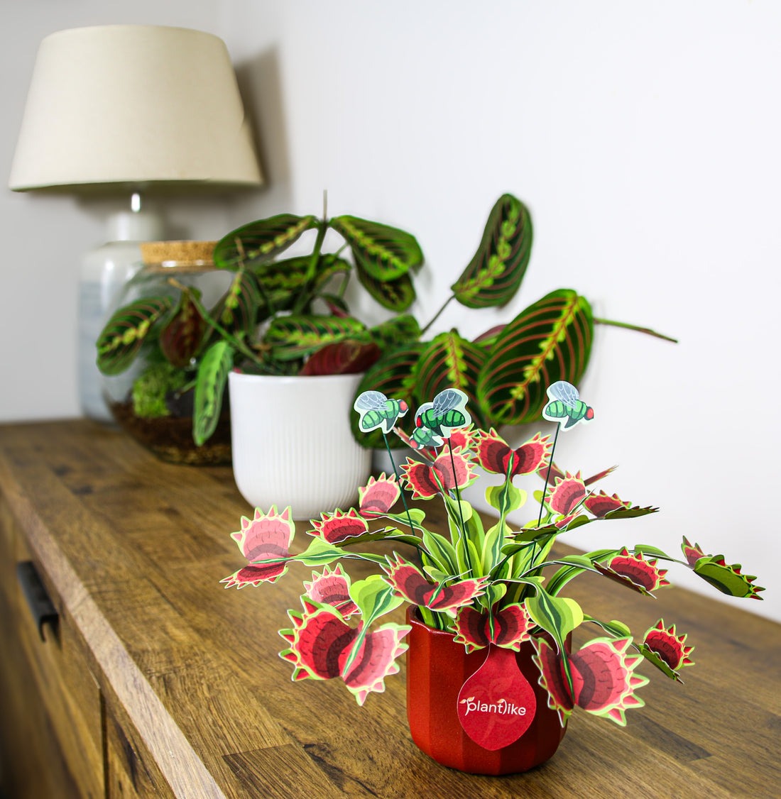 Venus fly trap displayed on circular wall shelf - unique botanical gift UK - order Plantlike paper plant craft
