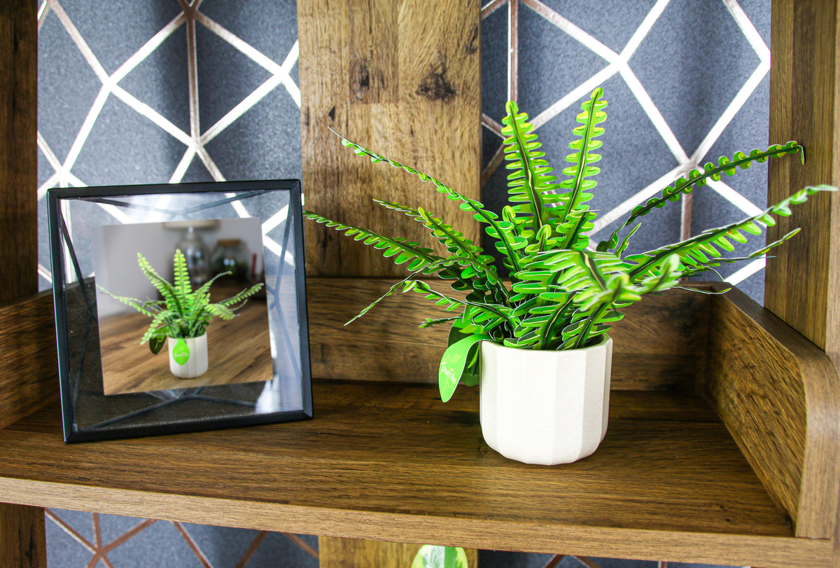 Close up boston fern craft by Plantlike - feathery lime green fronds - botanical gift UK shop online tracked delivery