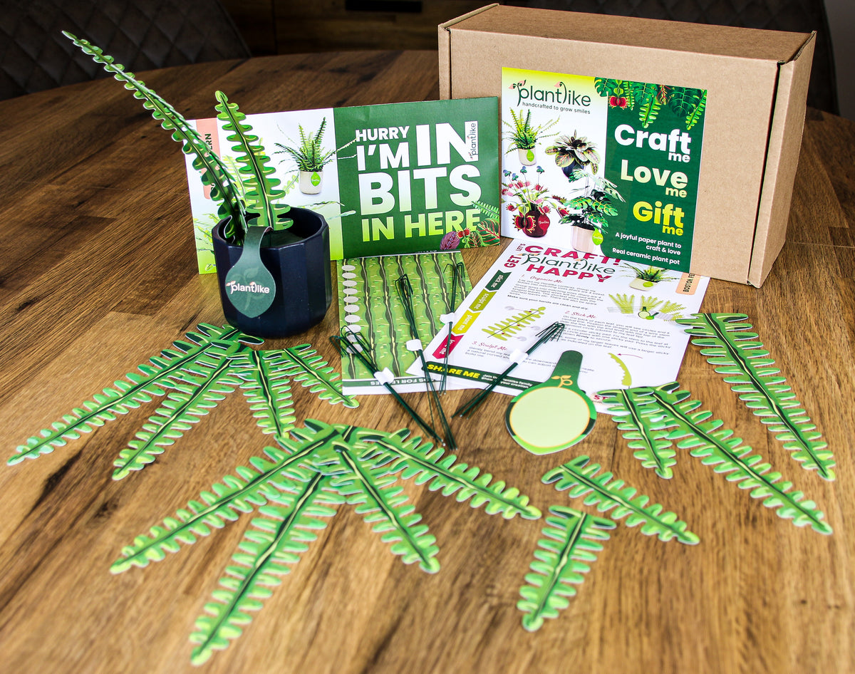 Plantlike boston fern paper craft completed - DIY plant gift set - order UK delivery mothers day birthday gift