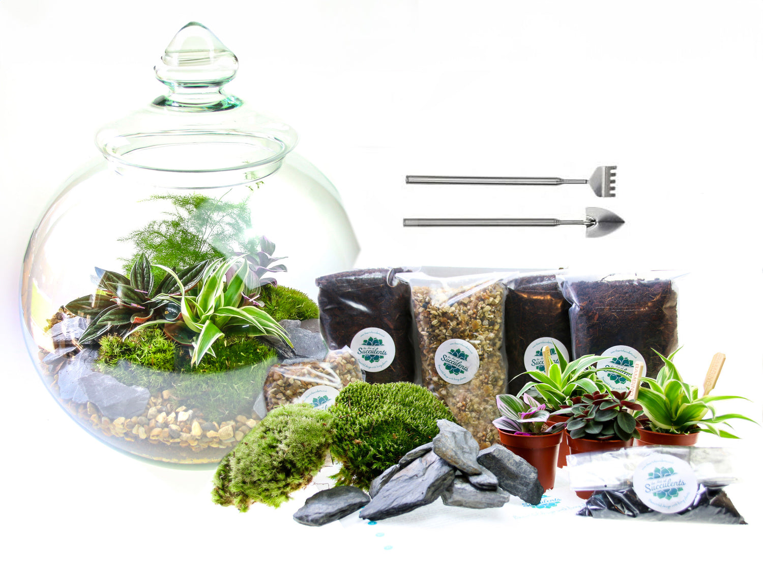 Complete Victorian style traditional terrarium kit deluxe