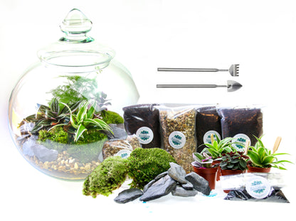Complete Victorian style traditional terrarium kit deluxe