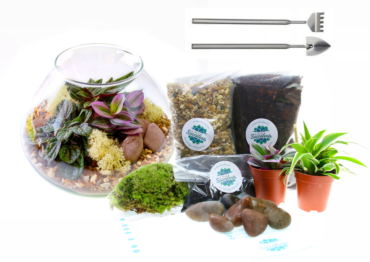 Complete plant terrarium gift UK 