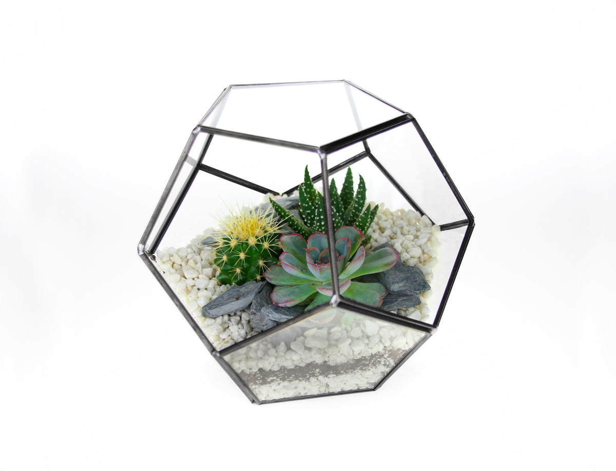 The Geode - Geometric Terrarium with Cactus & Succulent Mix – The Art ...