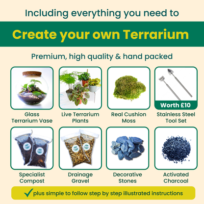 terrarium kit content with free tools