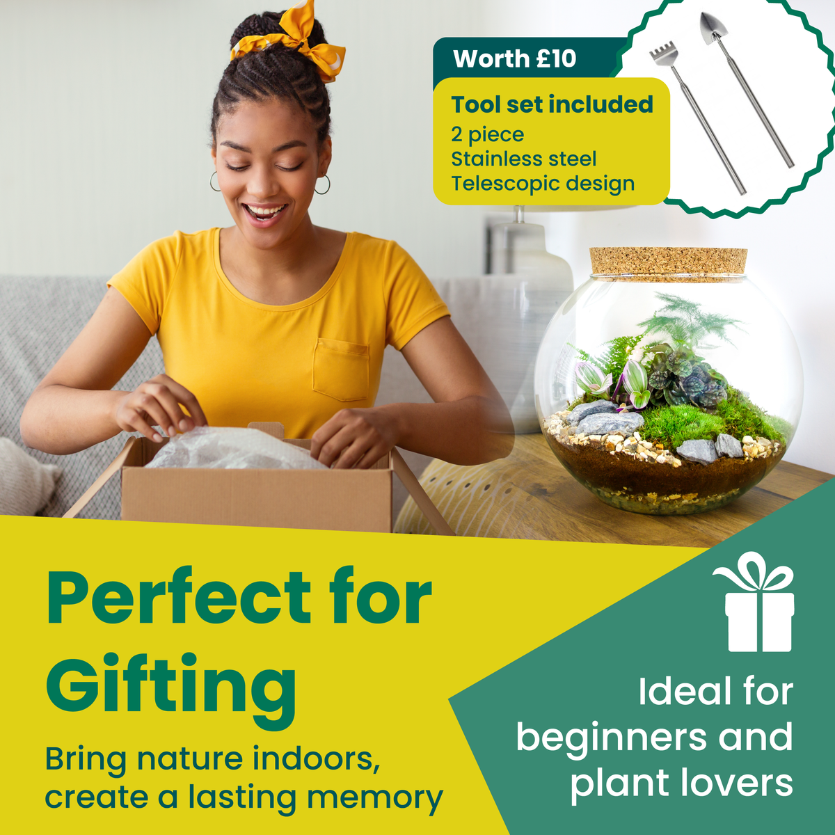 terrarium gift ideas with plants