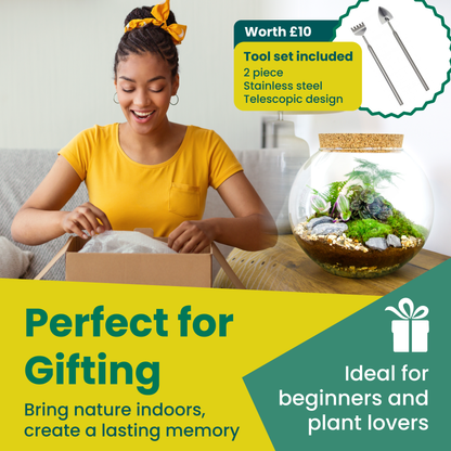 terrarium gift ideas with plants