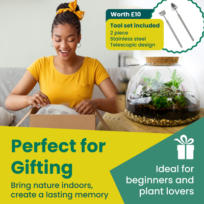 terrarium kit for gifting