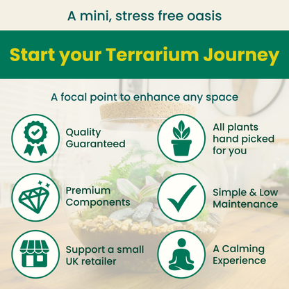 why buy from The Art of Succulents