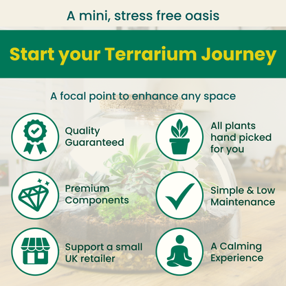 where to buy a premium terrarium
