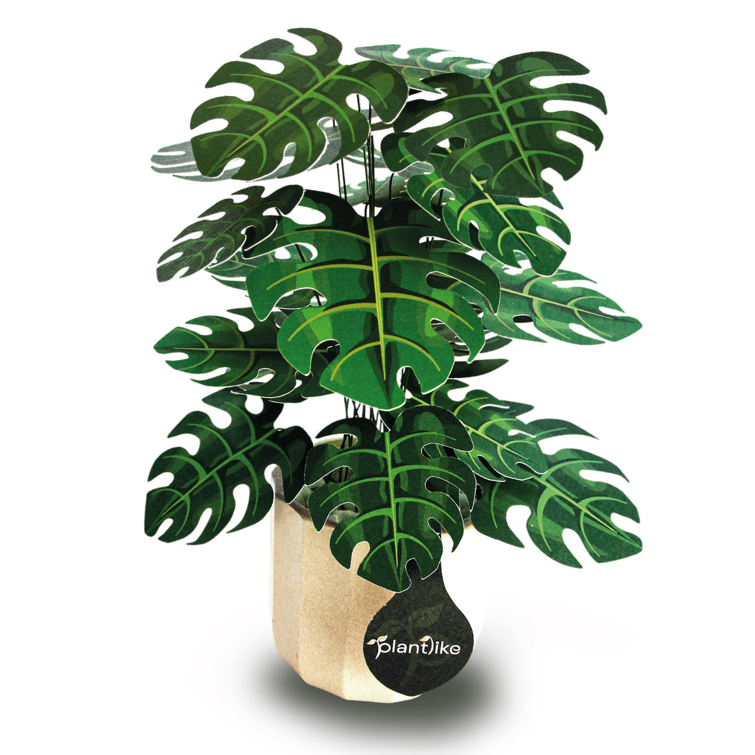 Monstera cheese plant paper craft kit UK - tropical houseplant gift with ceramic pot - buy online free UK delivery