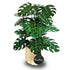 Monstera cheese plant paper craft kit UK - tropical houseplant gift with ceramic pot - buy online free UK delivery