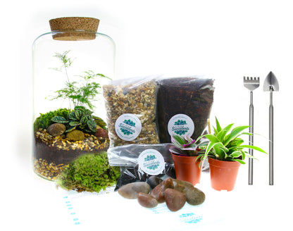complete terrarium kit with real plants, tools and instructions