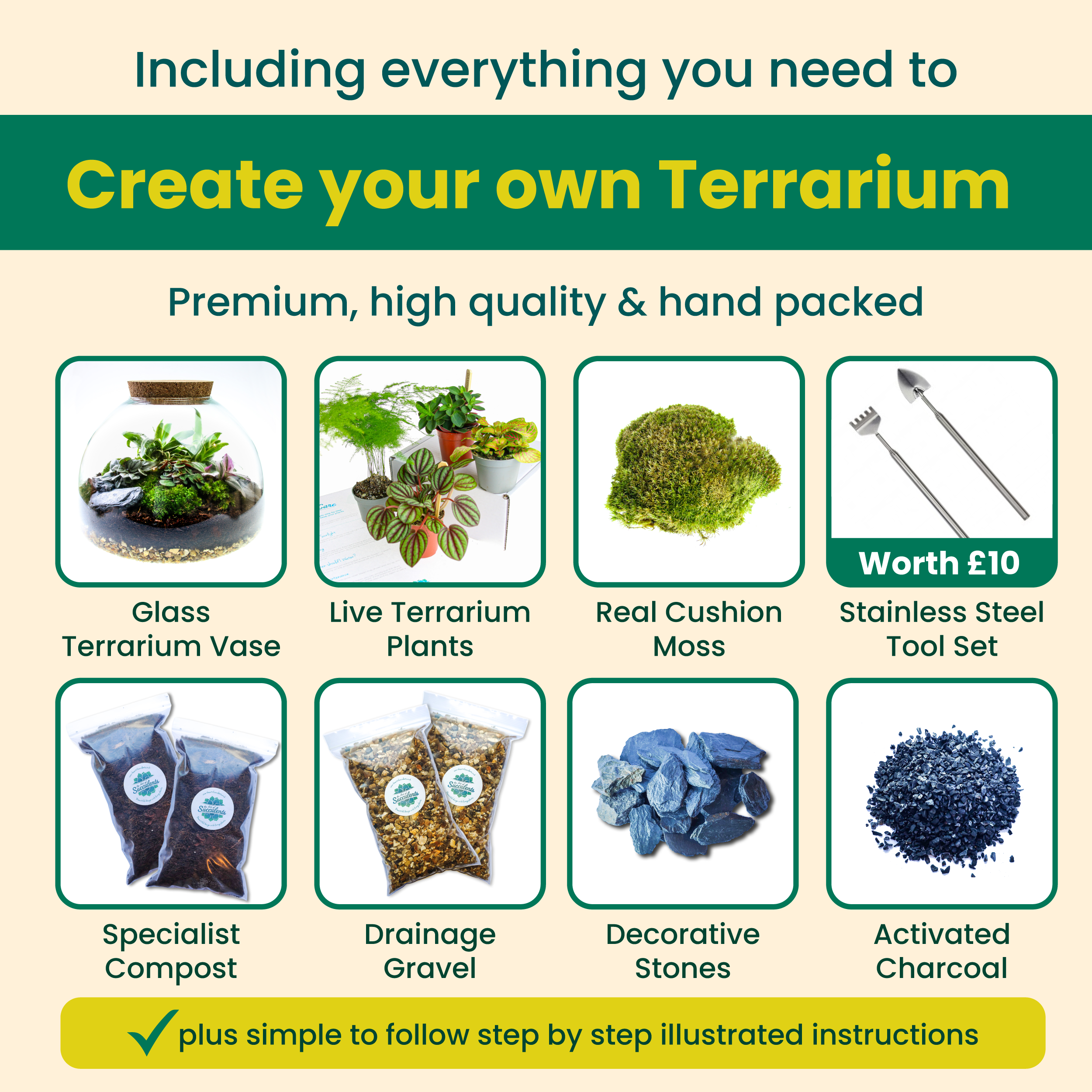 Dome terrarium kit contents with live plants