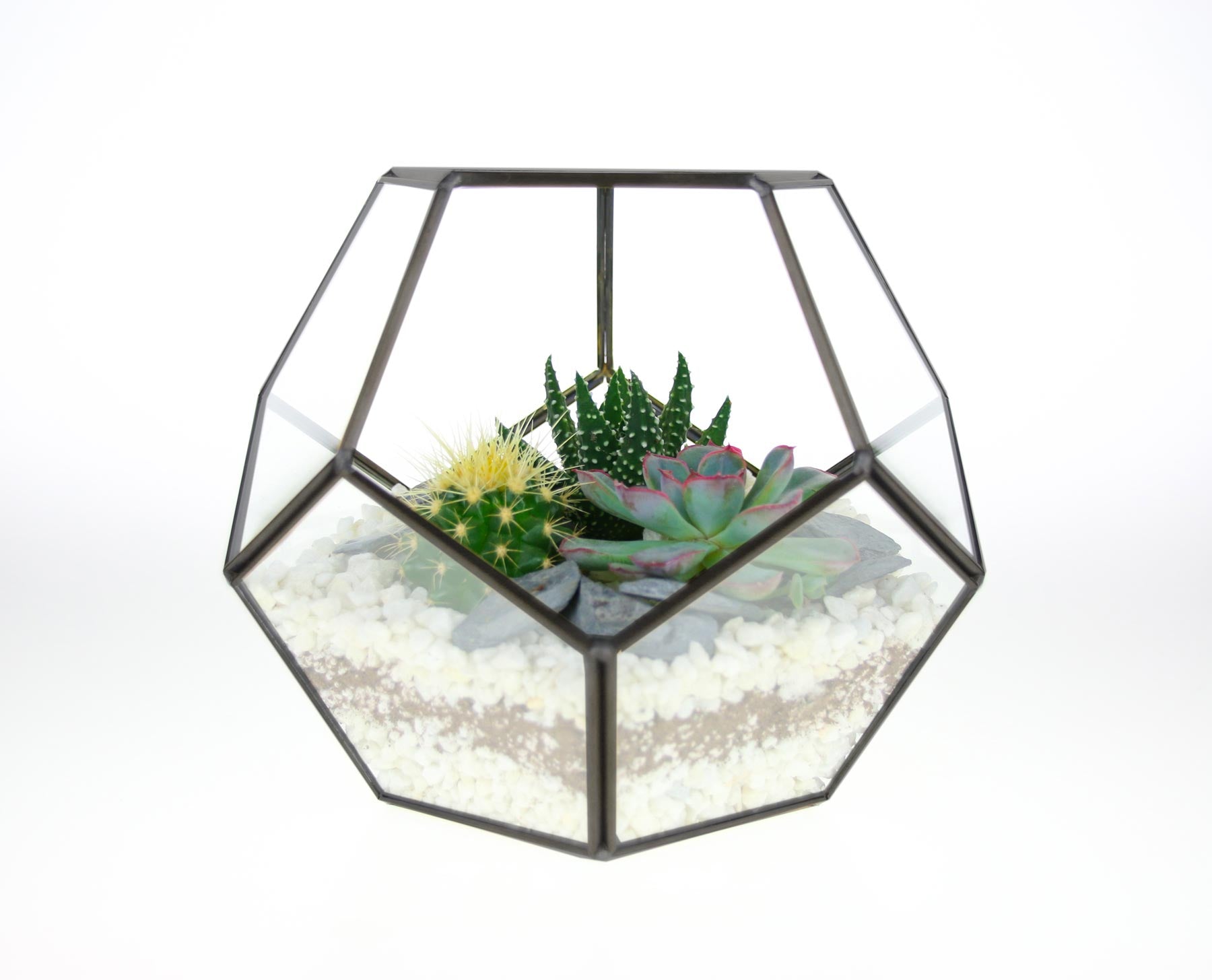 Order a terrarium gift online for Mother&