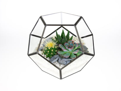 Gold terrrarium with cacti and succulent plants for Mother&