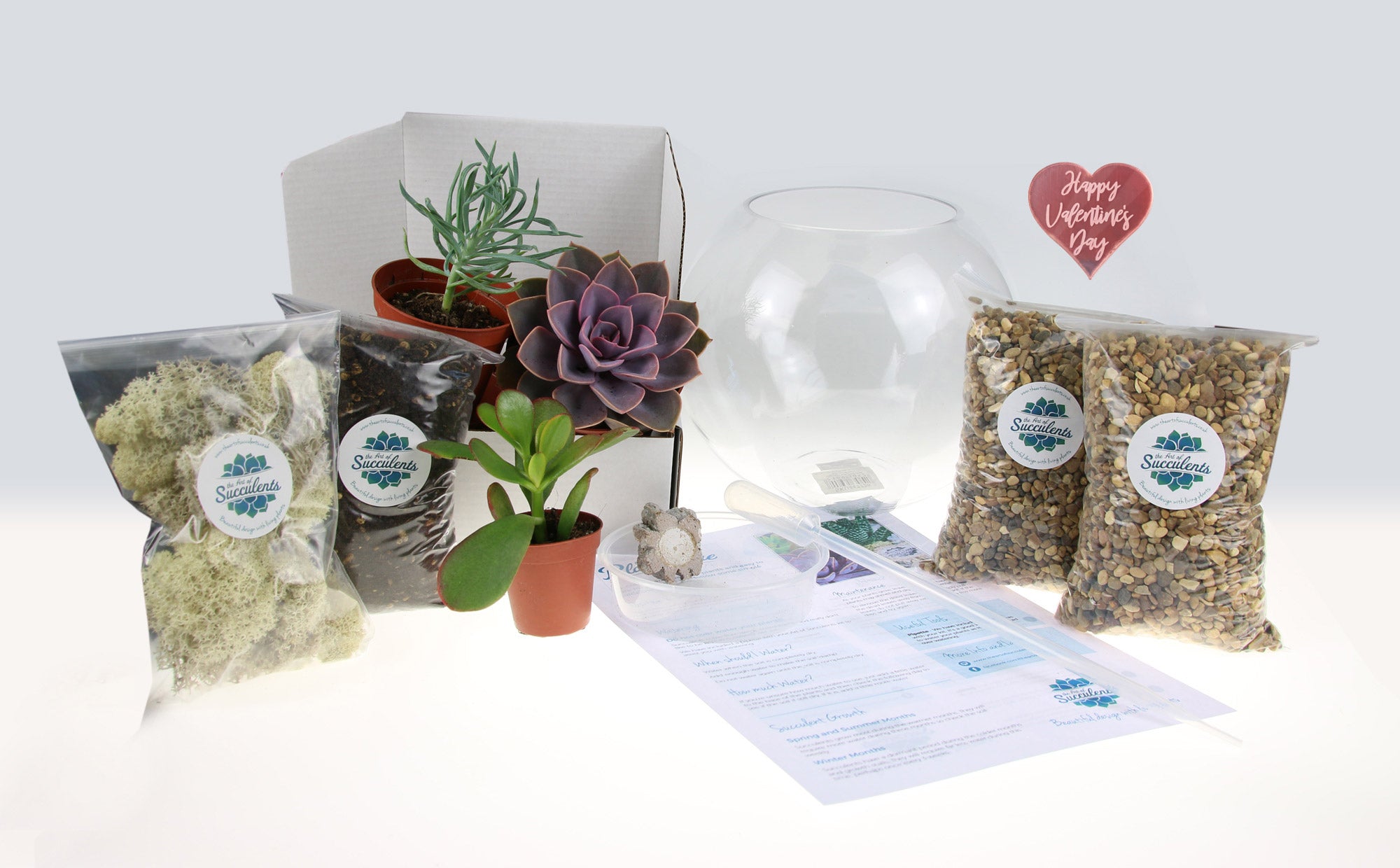 Terrarium valentine&