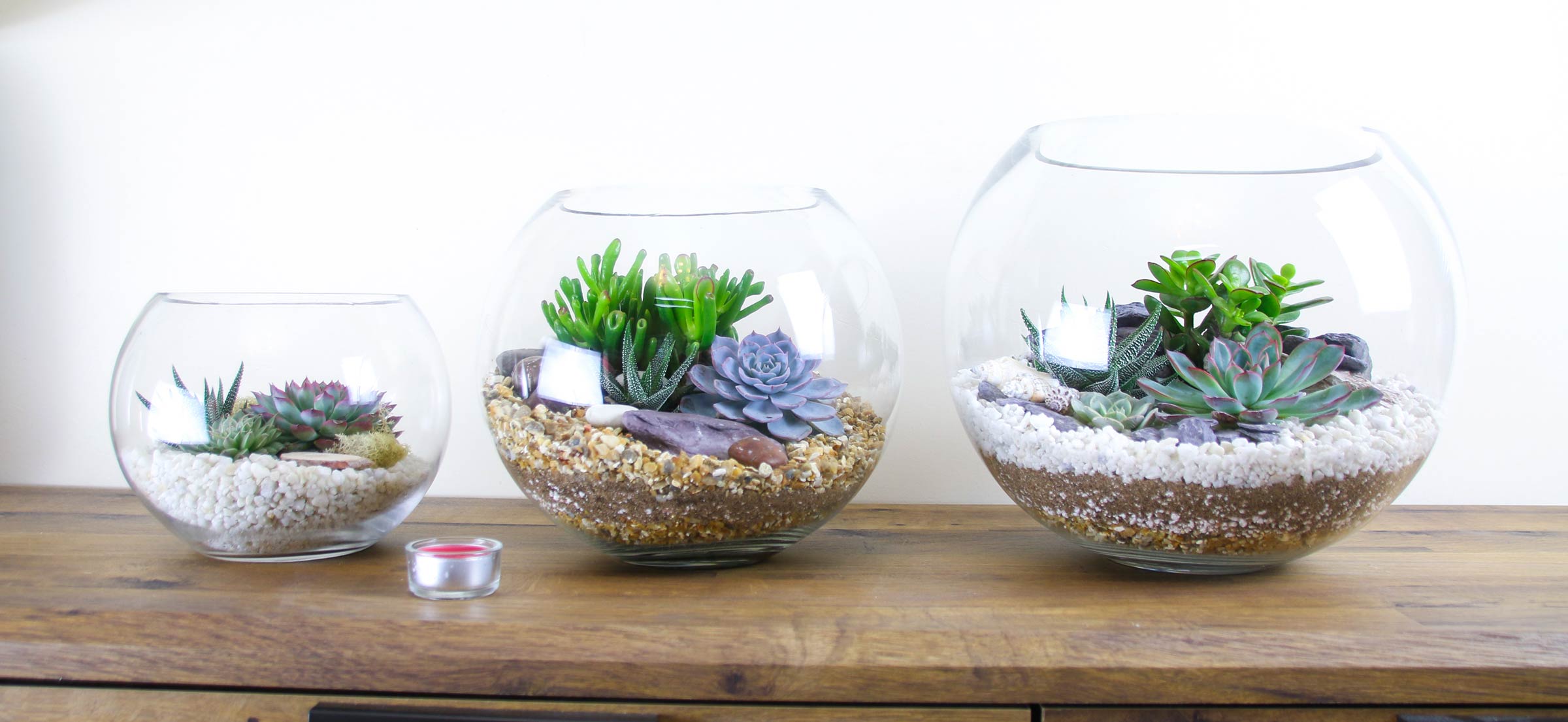 Open terrarium gifts for delivery in the UK