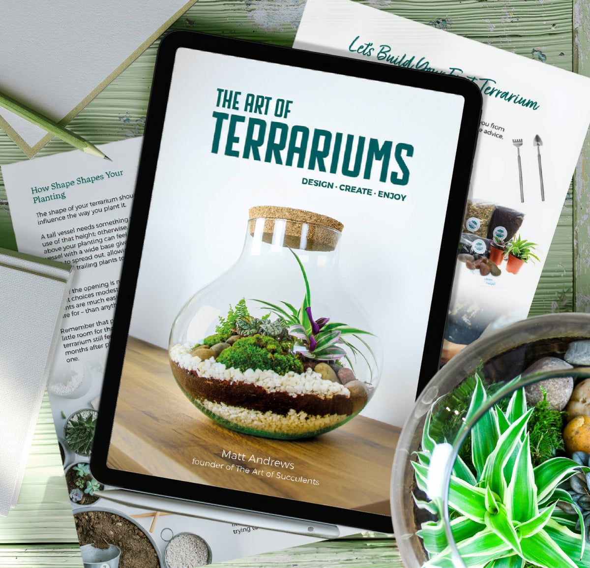 The Art of Terrariums - A Beginner&
