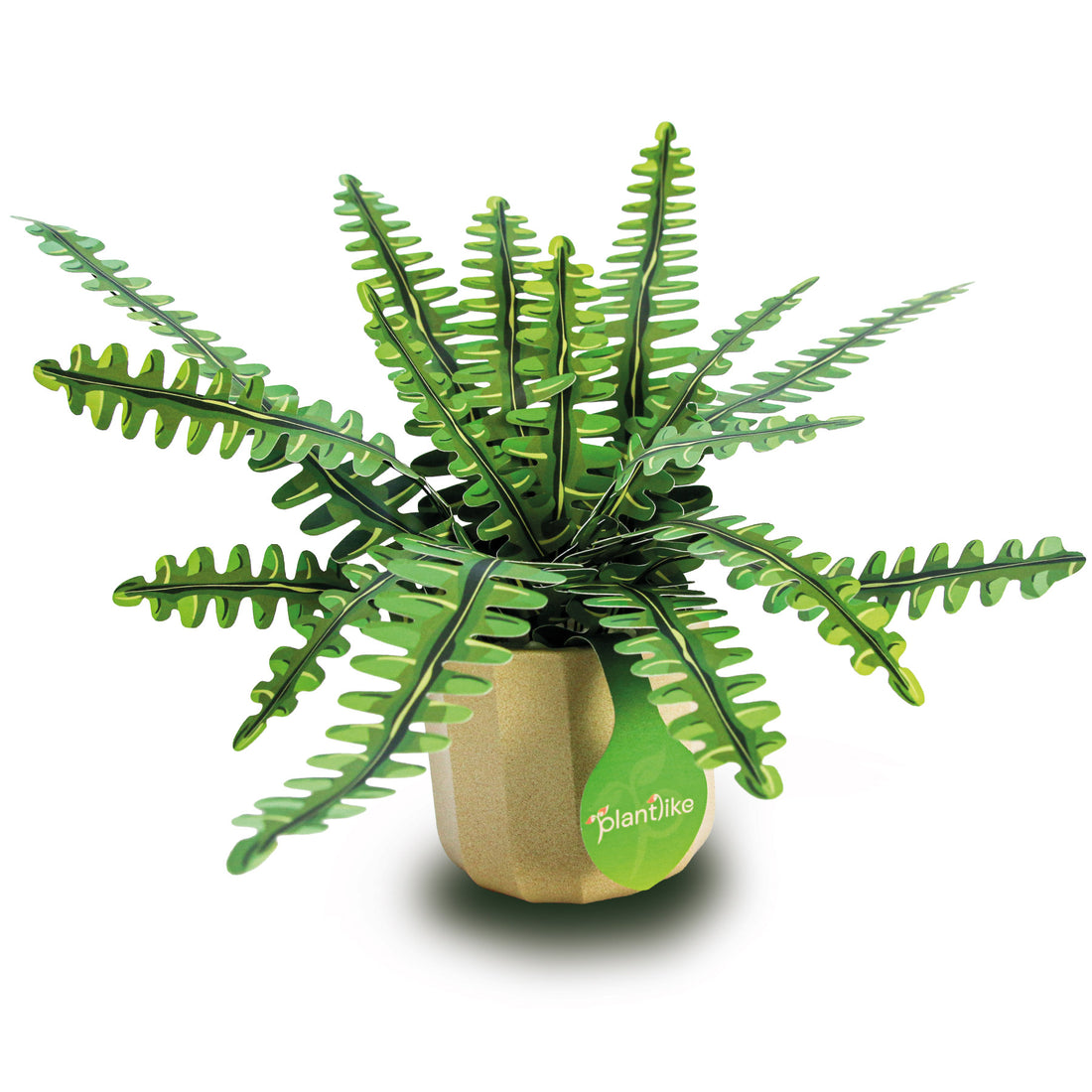 Boston fern paper craft kit UK - lush houseplant gift with ceramic pot - buy online with free UK delivery