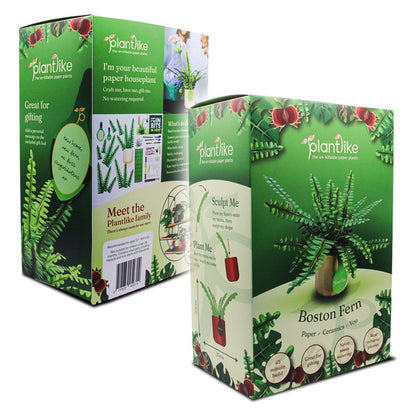 Boston fern craft gift packaging by Plantlike