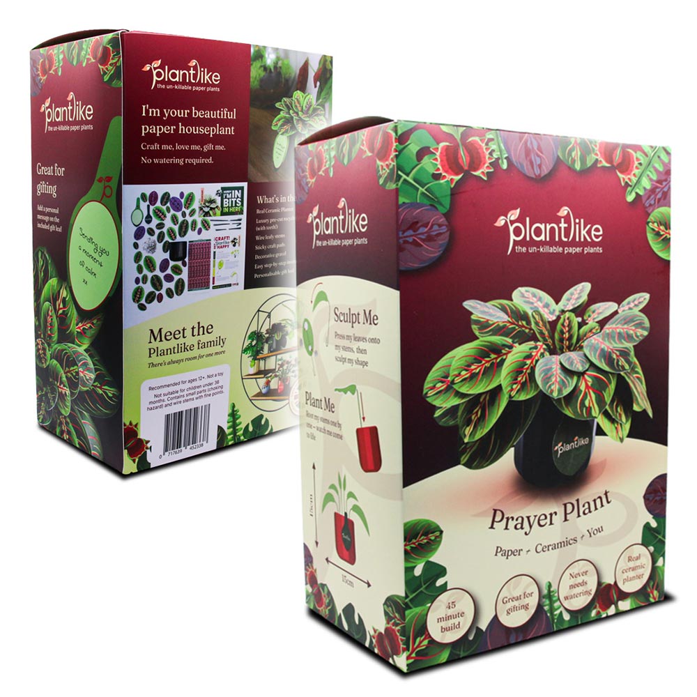 Payer plant inspired home decor packaging by Plantlike