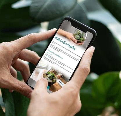 E book about terrariums