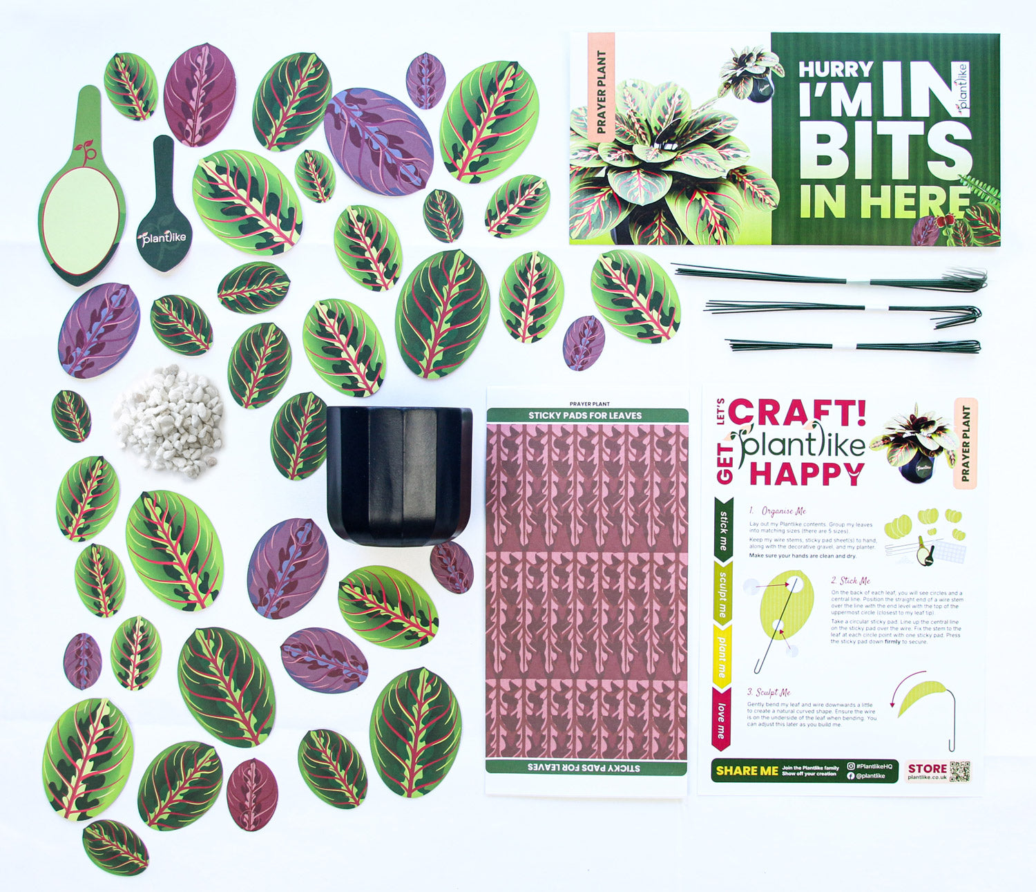Plantlike paper plant kit contents