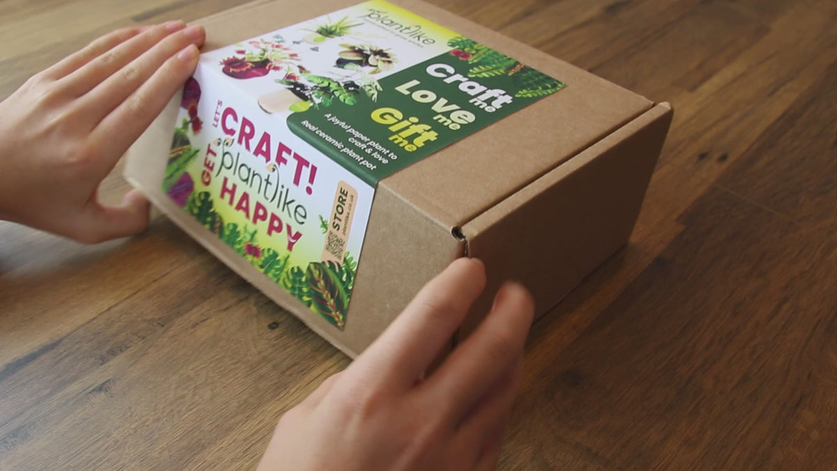 Load video: How to make Plantlike prayer plant craft kit - watch assembly video - 45 minute DIY plant gift UK