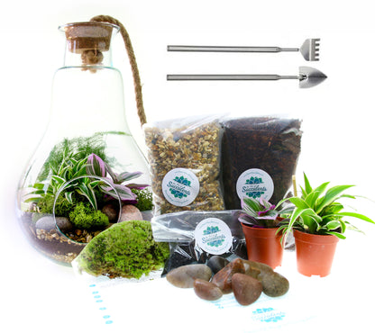 corporate gift with living plants. Order online. Terrarium