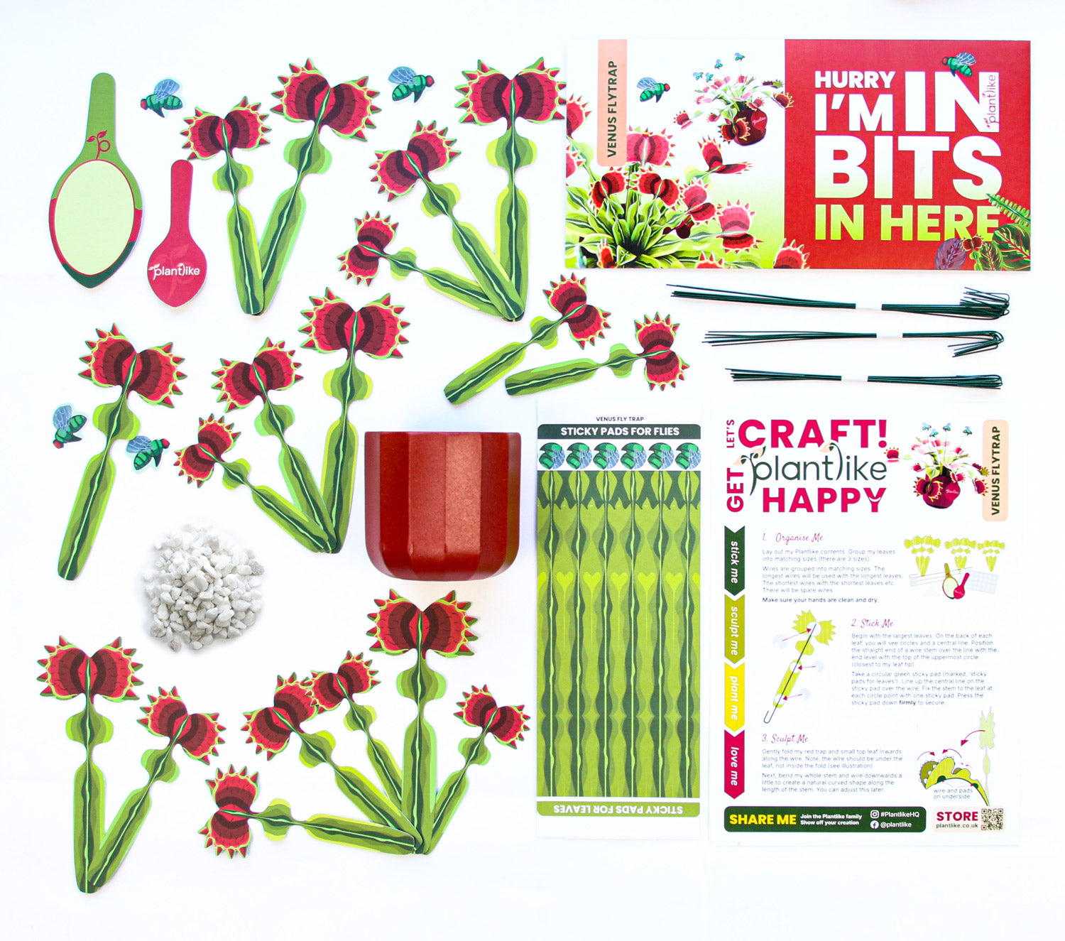 The Venus Fly Trap - Paper Plant Craft Kit - Great for Gifting