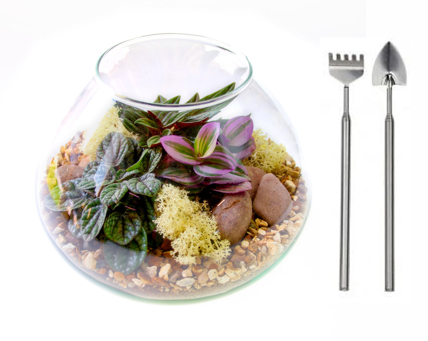 Open mini garden terrarium with tool set