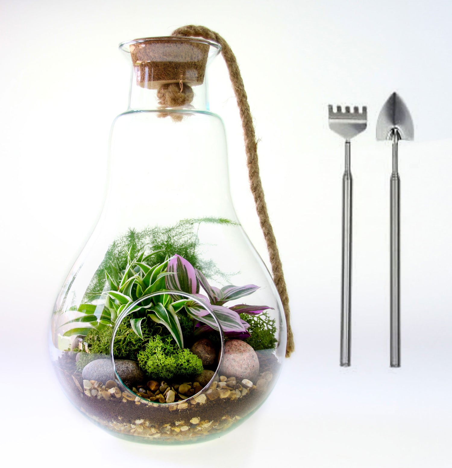 terrarium set with tools and plants