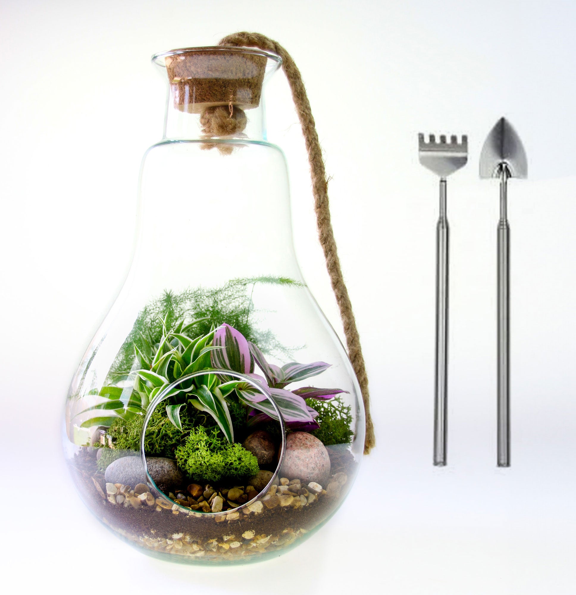 terrarium set with tools and plants