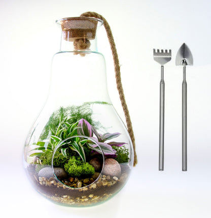terrarium set with tools and plants
