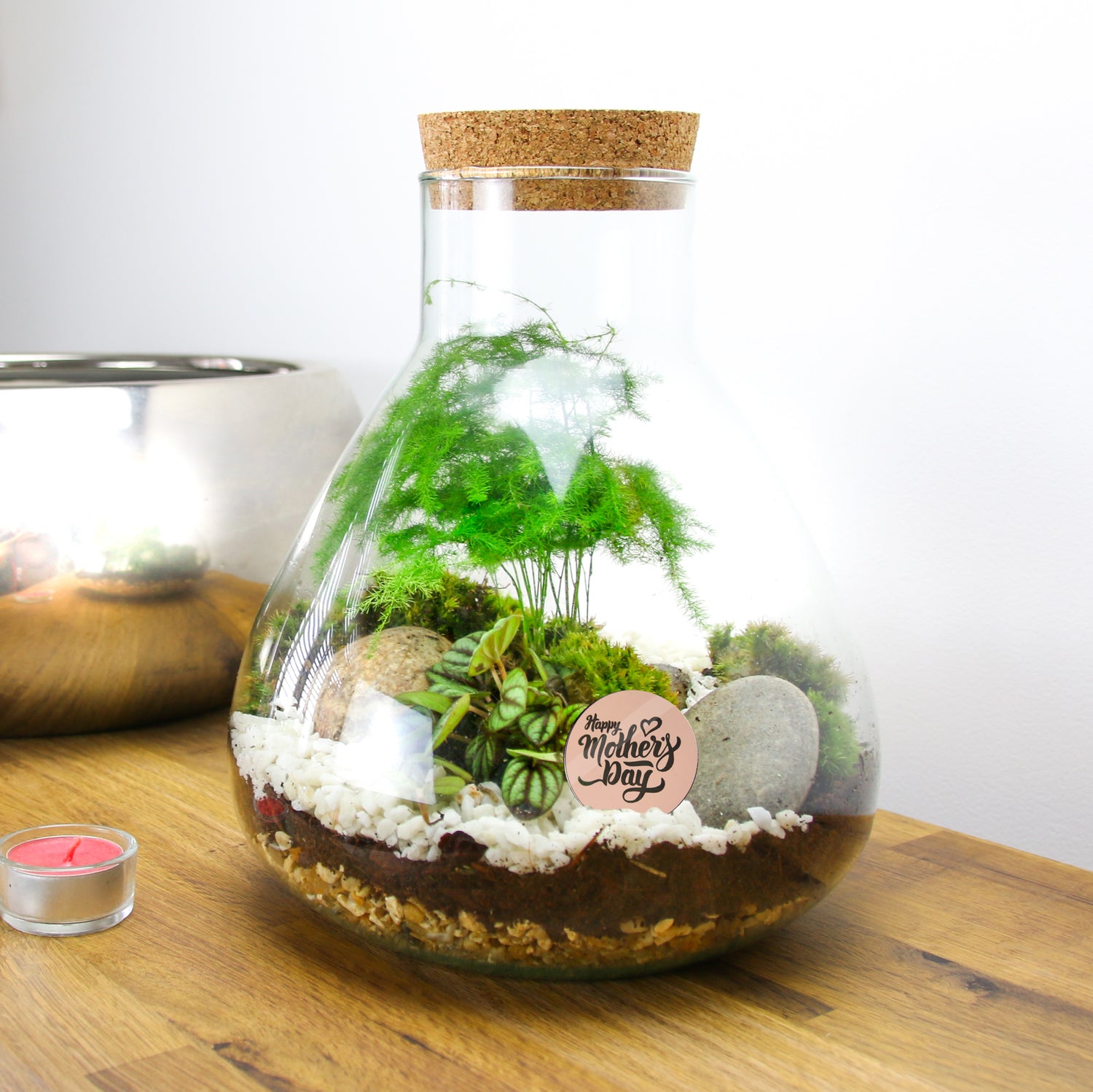 terrarium plants in a bottle 5L Small Angular Glass Bottle Closed Terrarium Kit with Living Moss and Forest Plants – The Art of Succulents