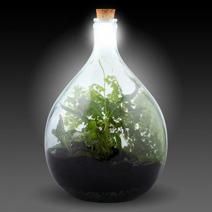 Solar cork light terrarium bottle