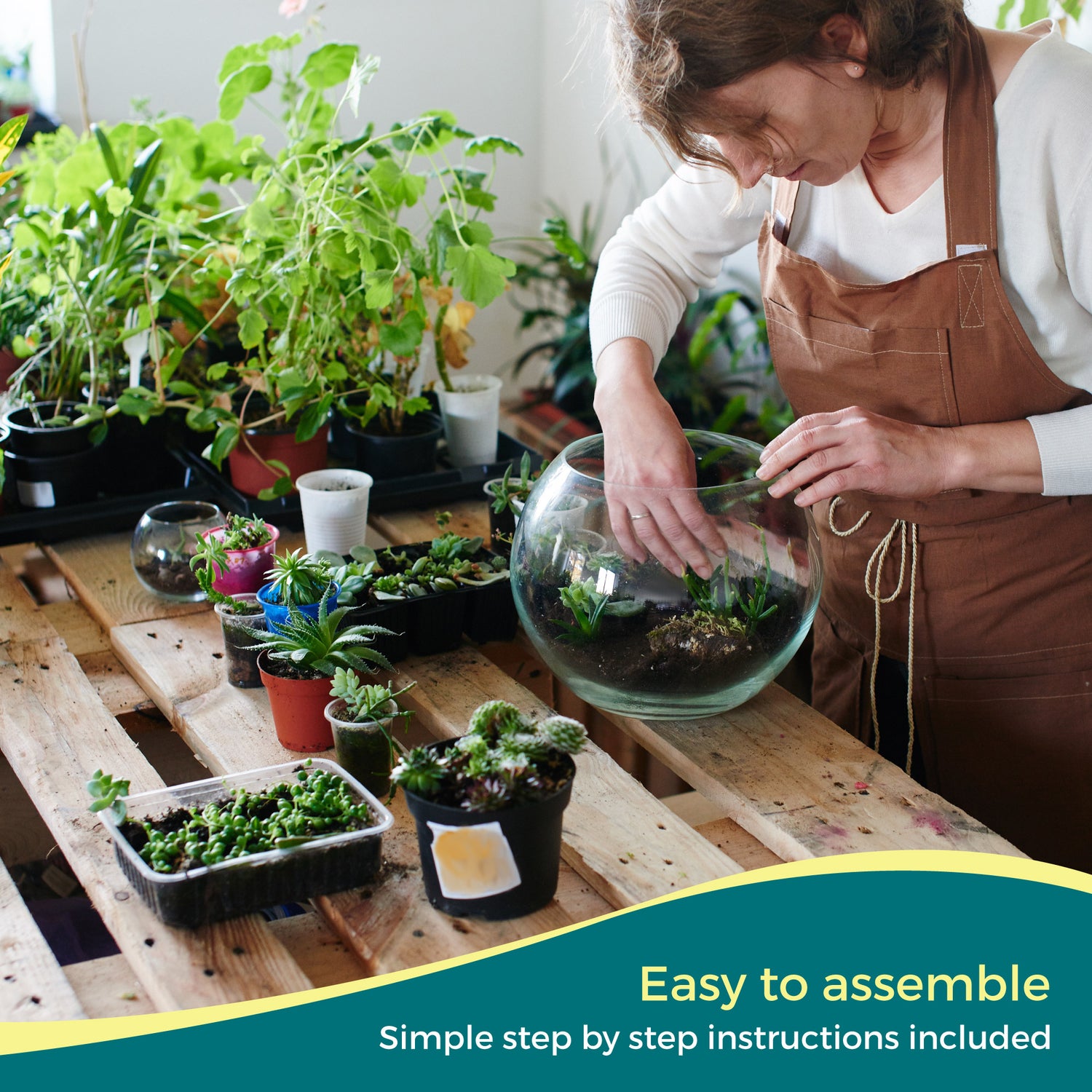 Build your own terrarium with our self assembly kits