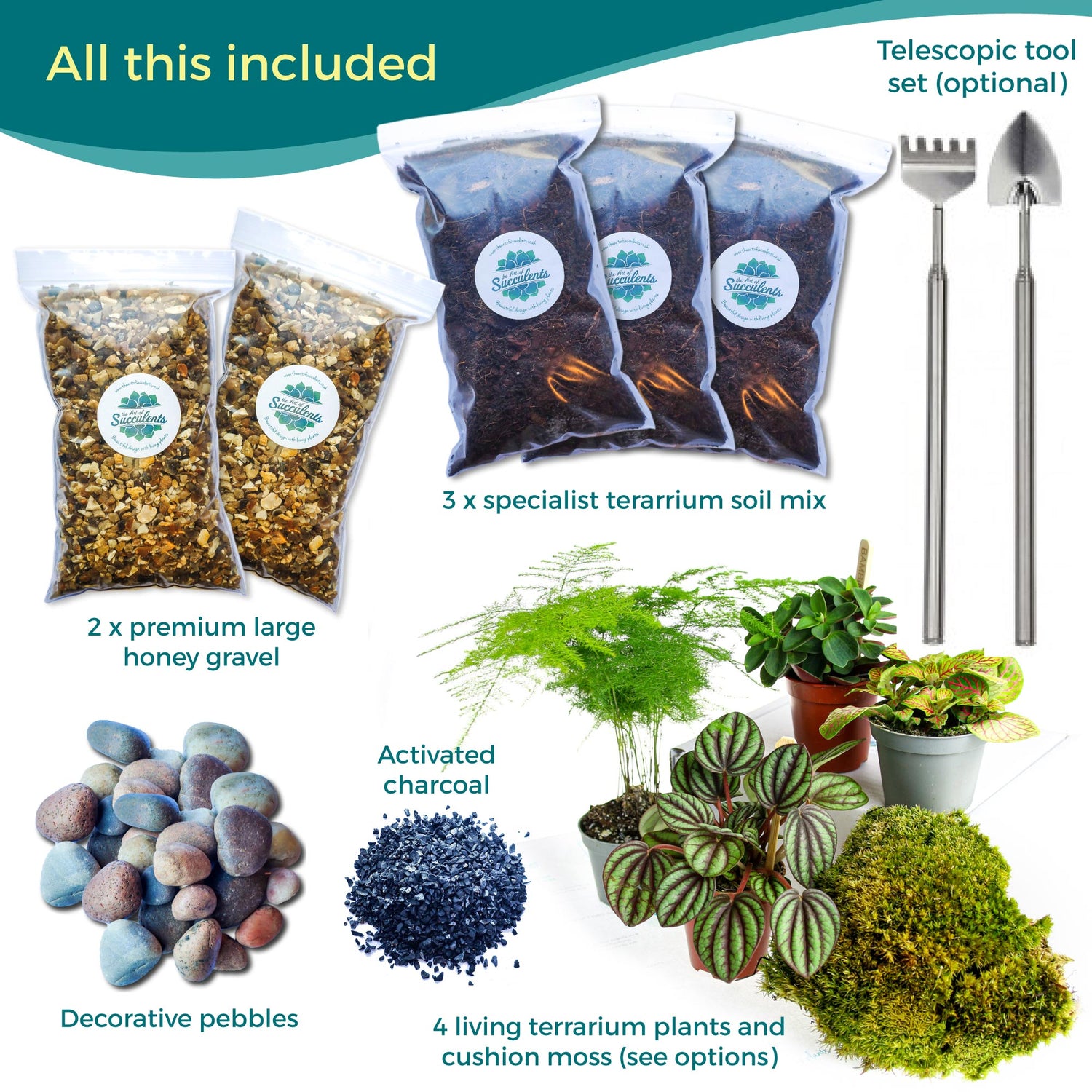 Build your own terrarium kit, buy online with carbon, terrarium soil, living moss and tropical plants
