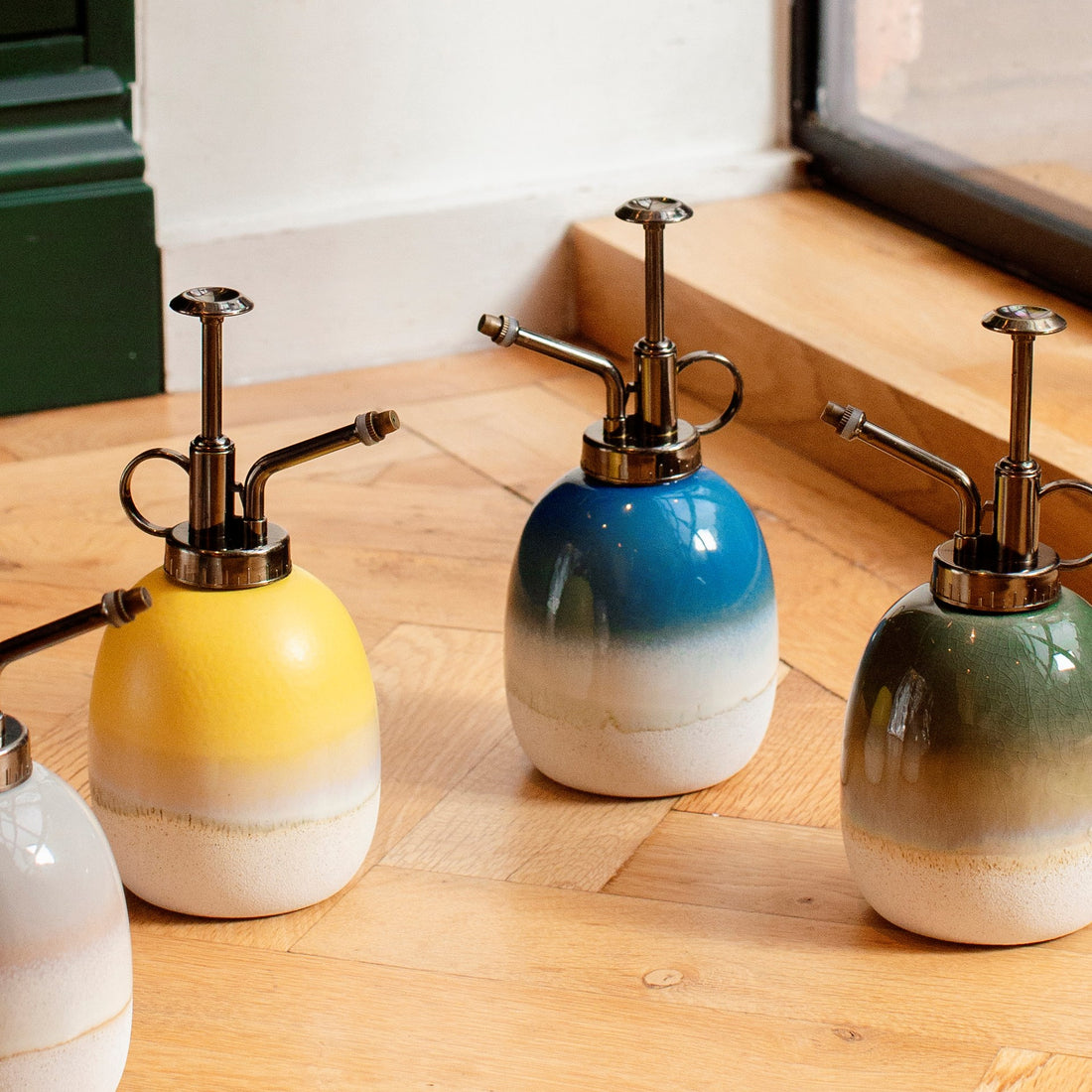 Spray bottle for house plants