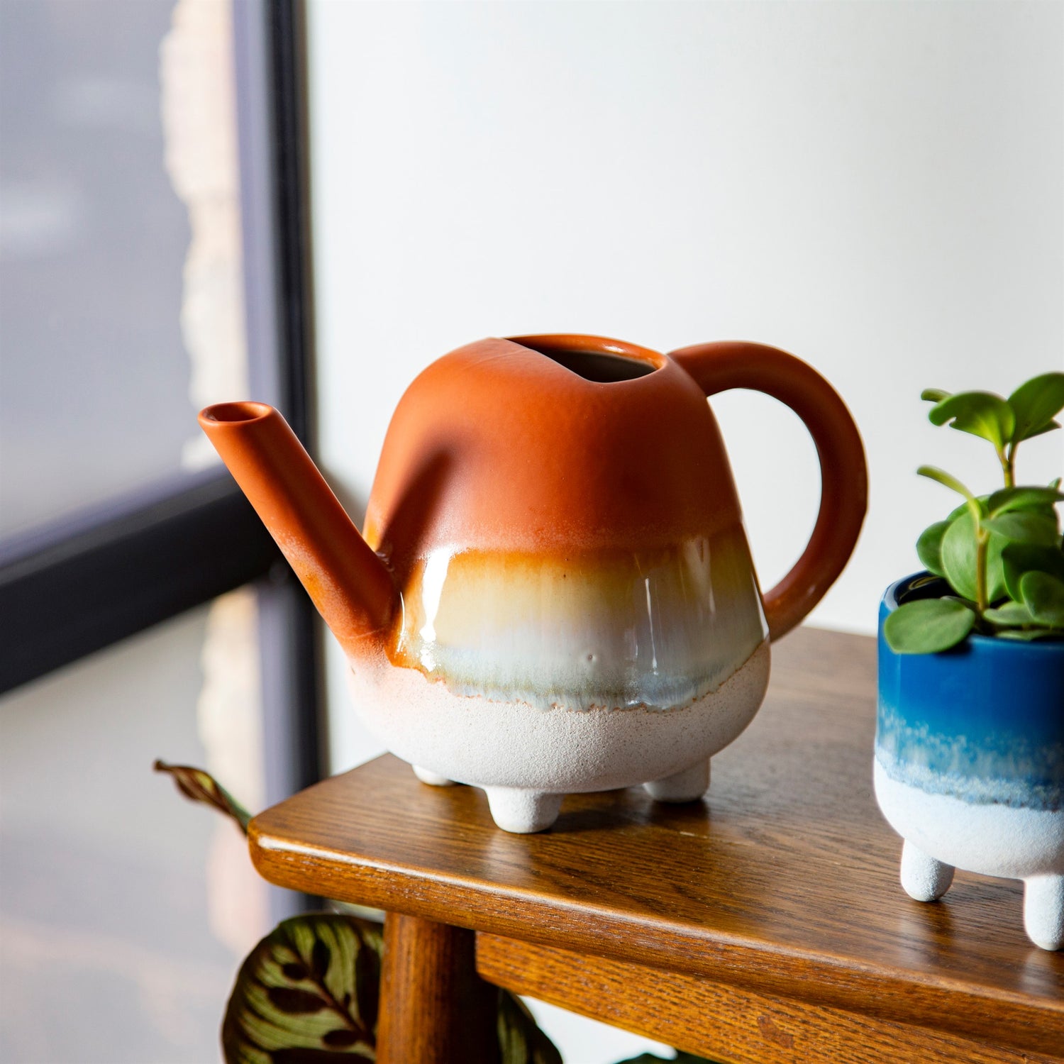 Designer indoor watering can for house plants