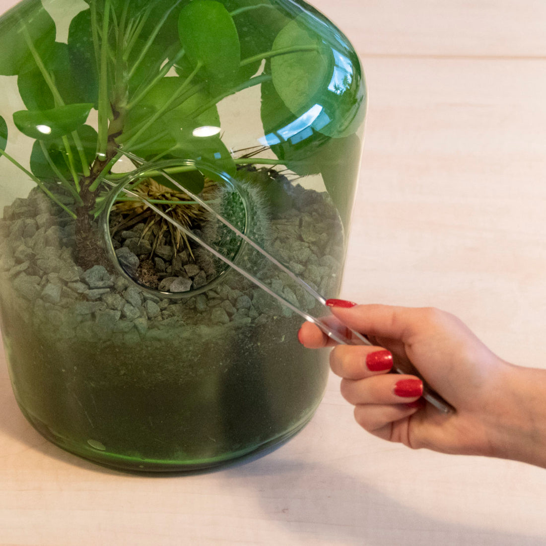 Tips on Terrarium making, tweezers
