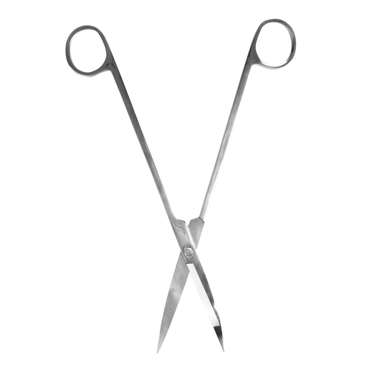 Terrarium scissors for plant care