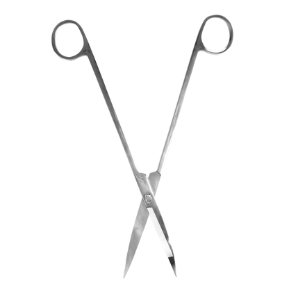Terrarium scissors for plant care