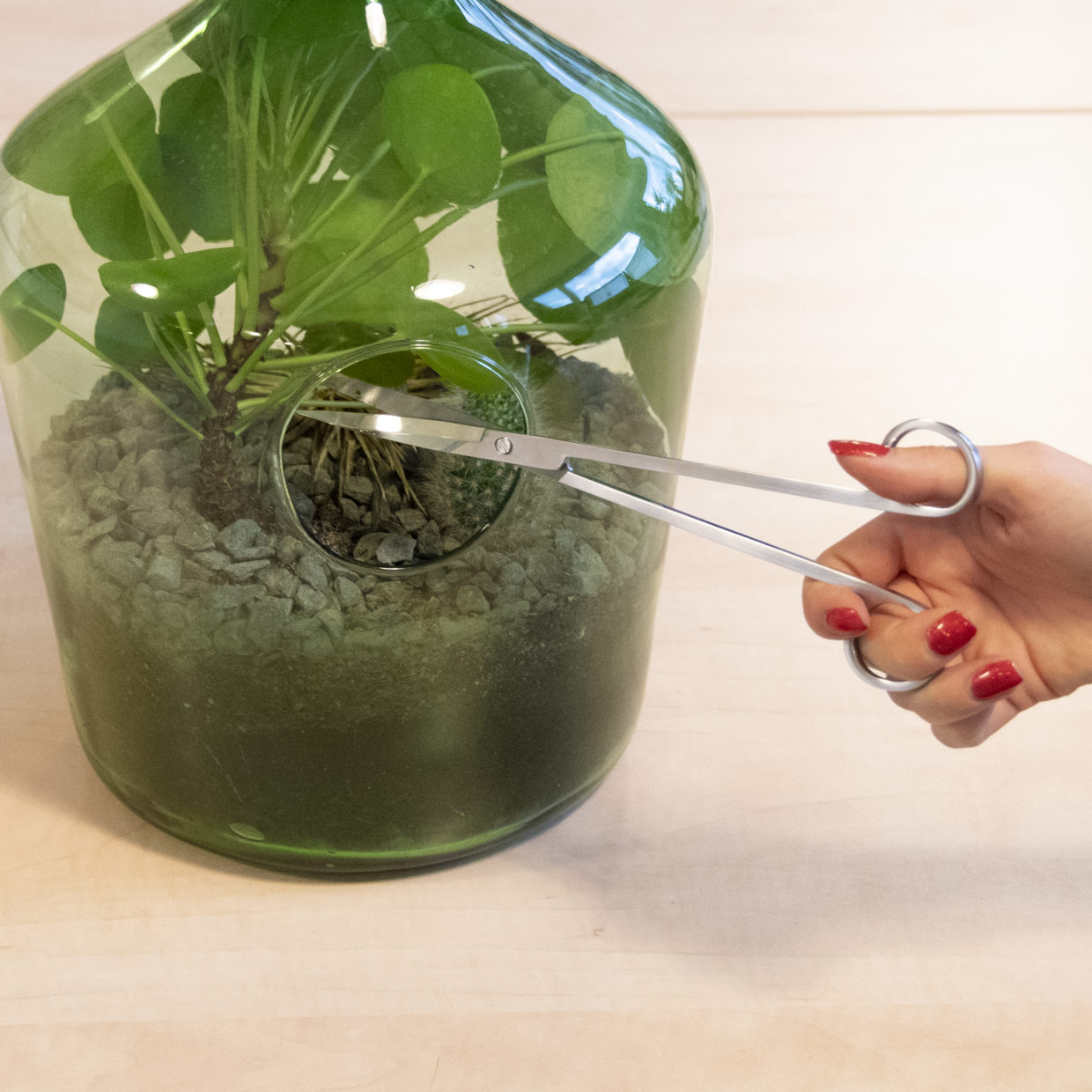 Long terrarium scissors