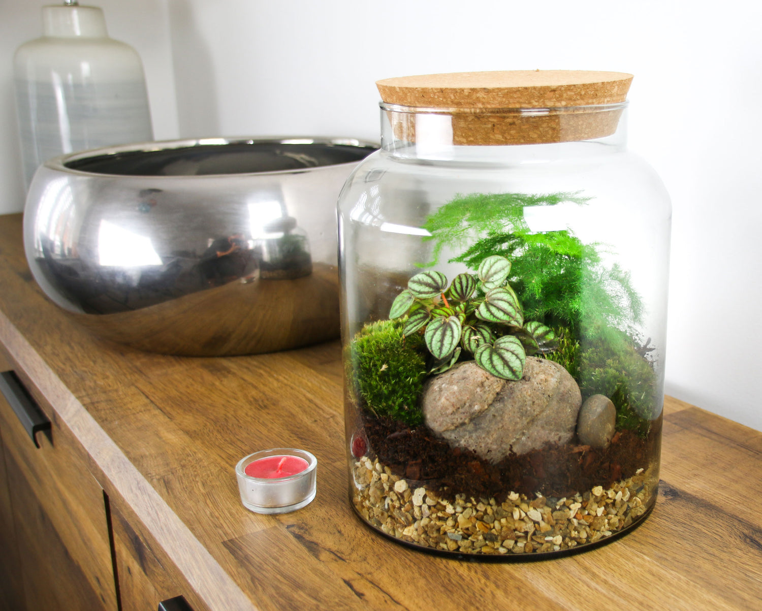 Glass terrarium kit with ball moss and living plants
