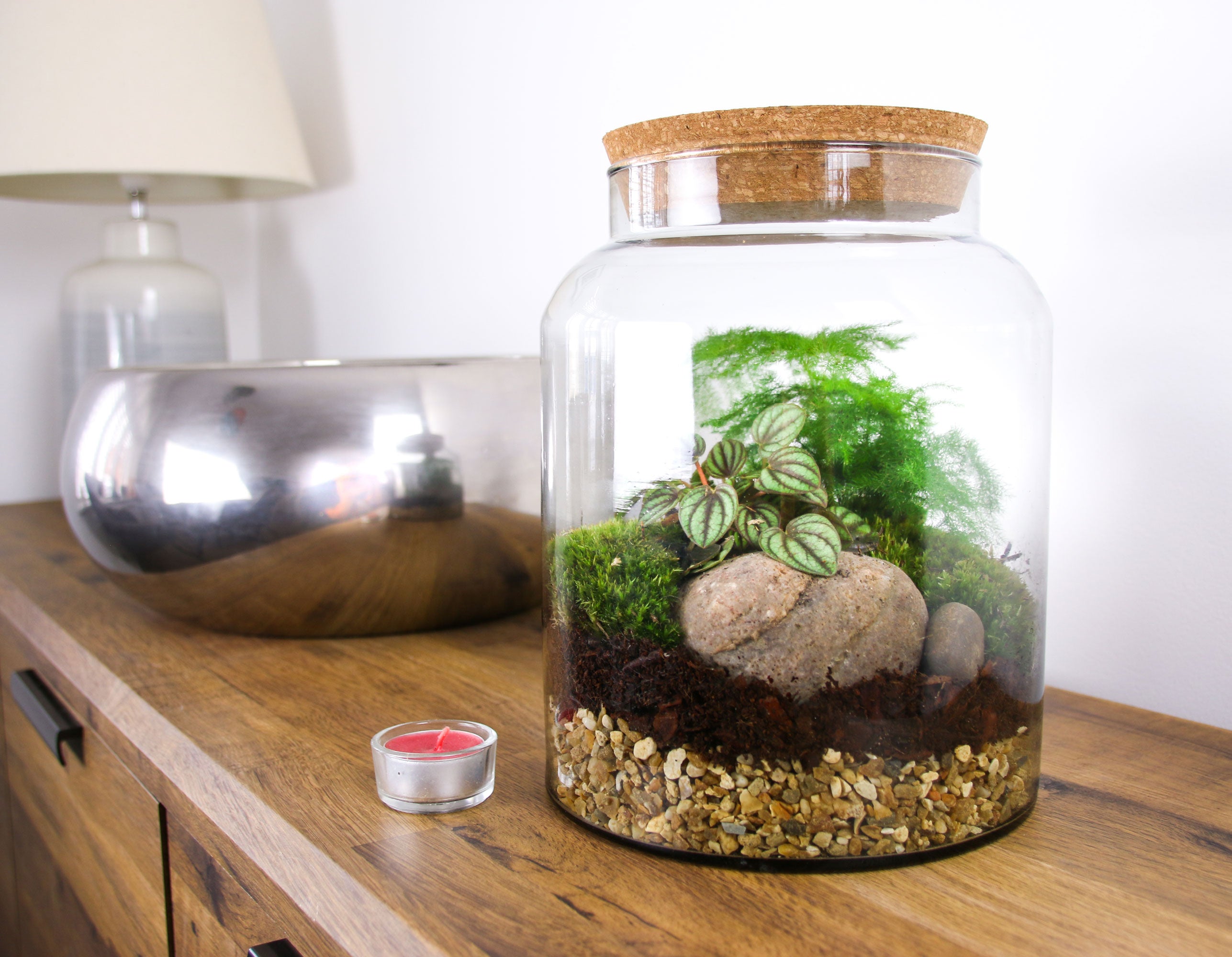 Terrarium kit delivered to your door in the UK with living plants