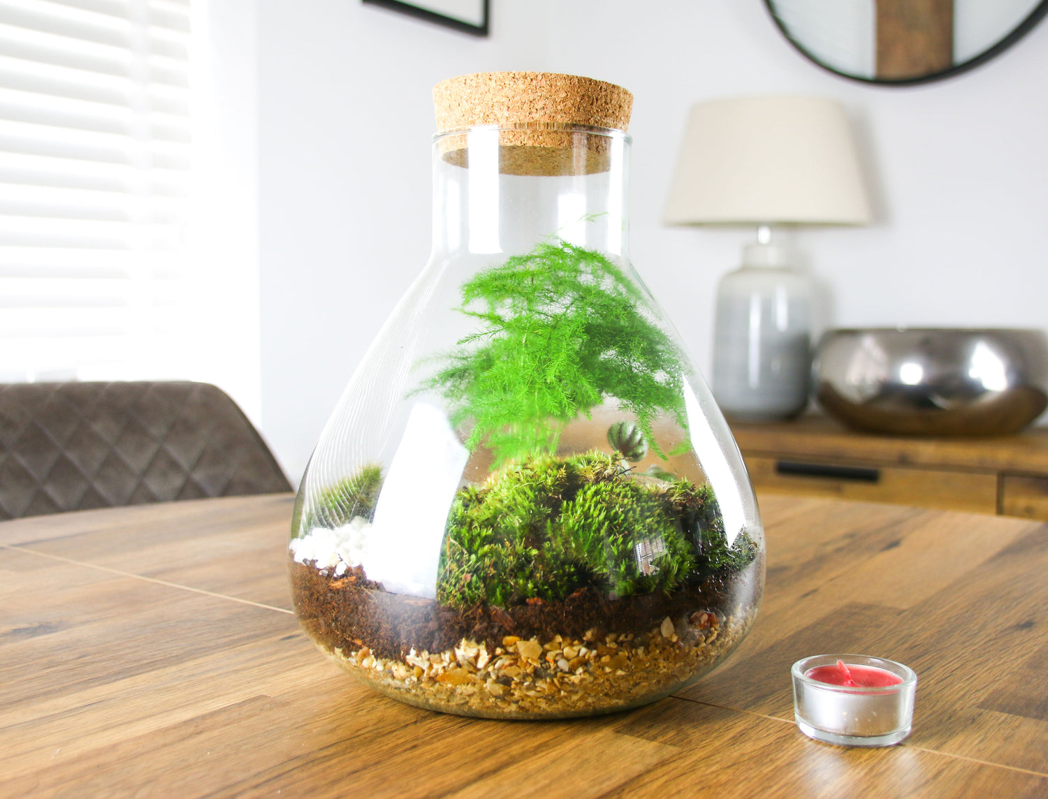 Buy a terrarium in the UK with free delivery