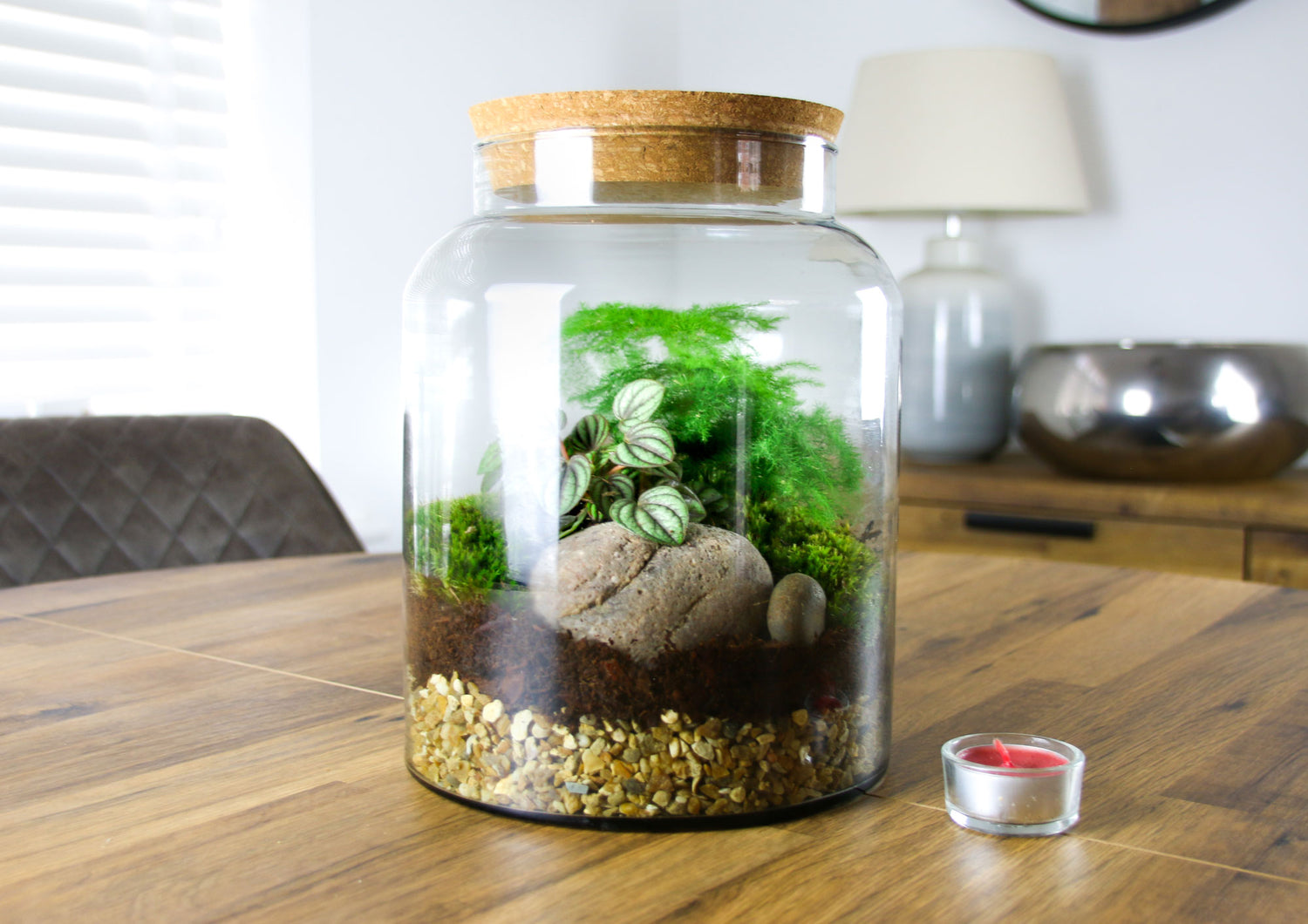 Glass jar terrarium with moss and plants and tools
