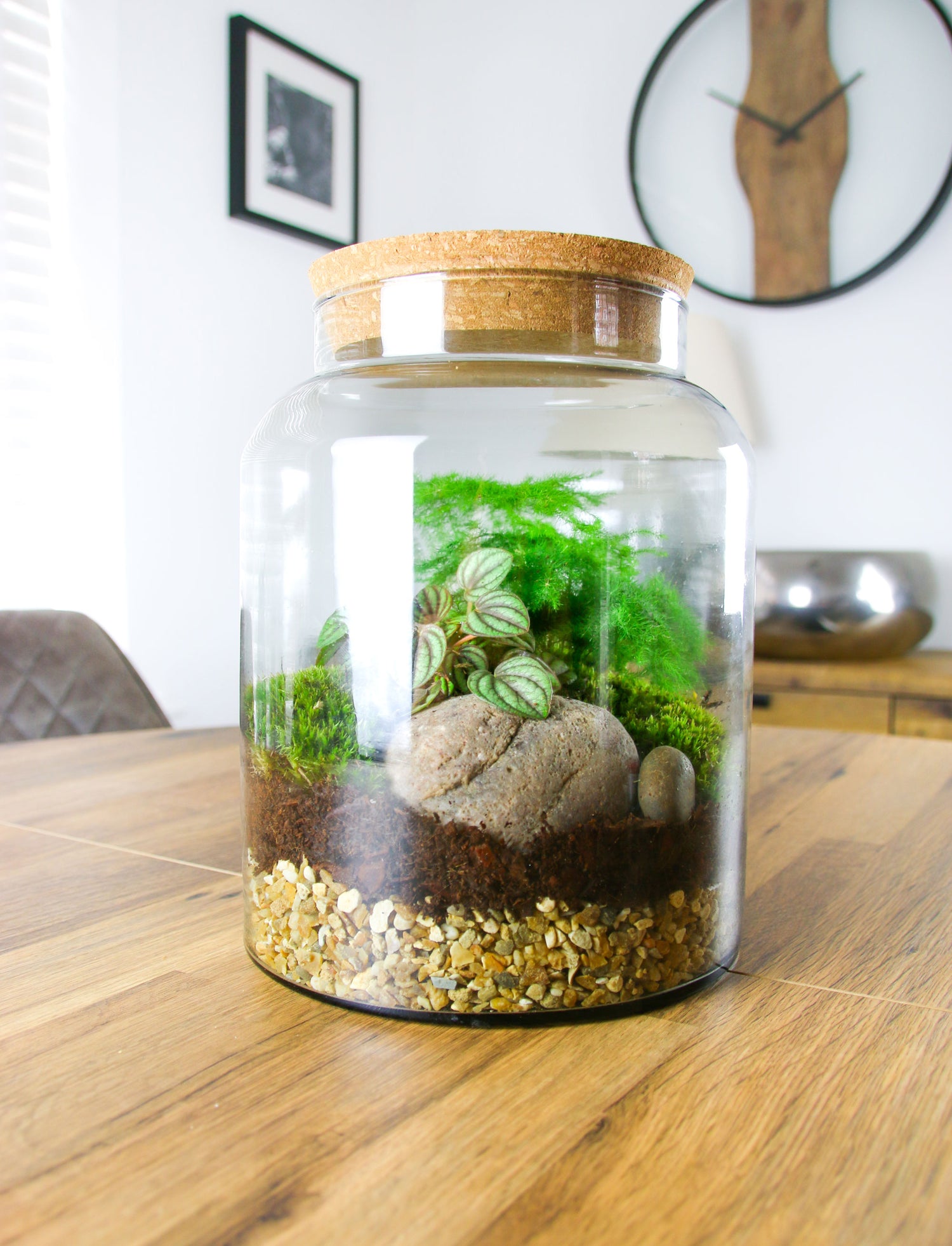 closed jar terrarium plants The Column