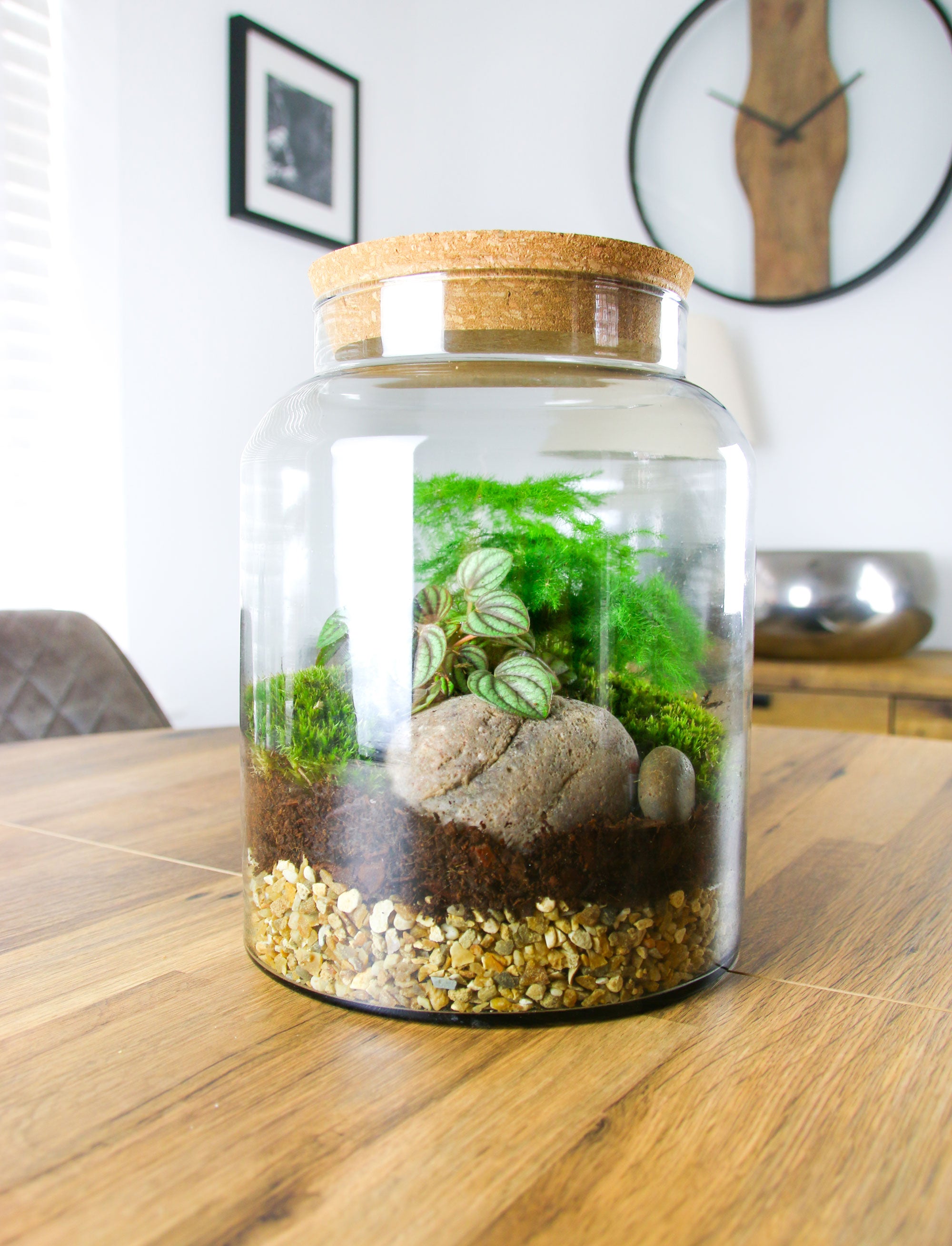 Closed terrarium gift ideas with real plants